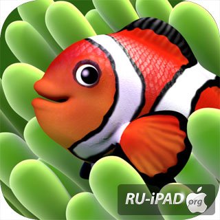 Fish Paradise