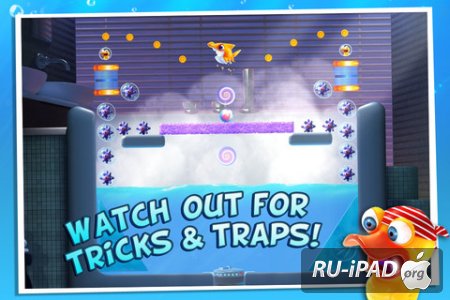 Shark Dash [1.0.3] [ipa/iPhone/iPod Touch/iPad]