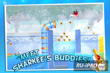 Shark Dash [1.0.3] [ipa/iPhone/iPod Touch/iPad]
