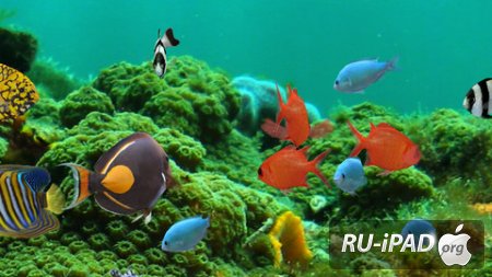MyReef 3D Aquarium 2 HD [1.0.2] [ipa/iPhone/iPod Touch/iPad]