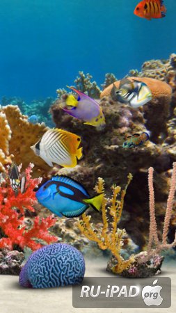 MyReef 3D Aquarium 2 HD [1.0.2] [ipa/iPhone/iPod Touch/iPad]