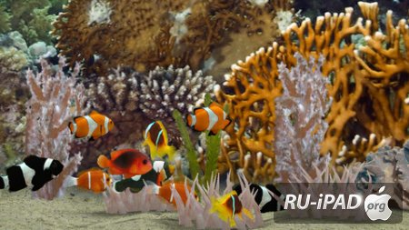 MyReef 3D Aquarium 2 HD [1.0.2] [ipa/iPhone/iPod Touch/iPad]