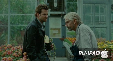  / The Words [2012/BDRip/mp4/iPhone/iPod/iPad]