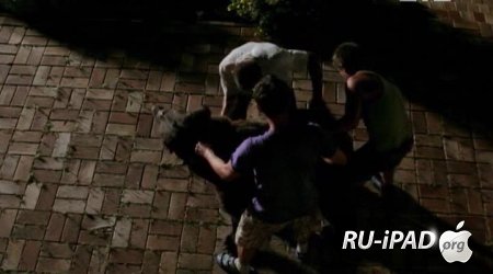    /  2  4 [2013/SATRip/mp4/iPhone/iPod/iPad]