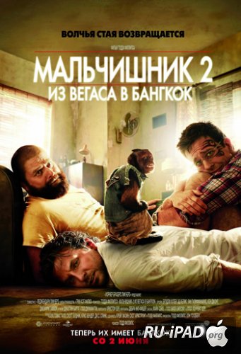    2 / The Hangover 2 