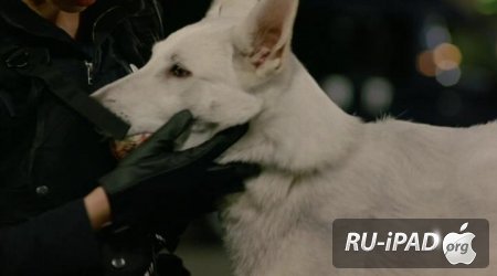  :  -9 / Dog x police: Junpaku no kizuna [2011/HDRip/mp4/iPhone/iPod/iPad]