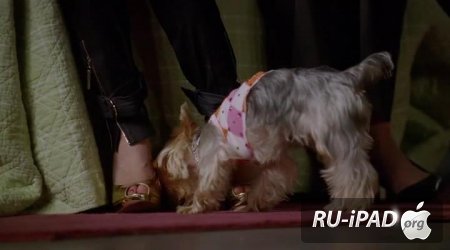    / Sharpay's Fabulous Adventure [2011/HDRip/mp4/iPhone/iPod/iPad]