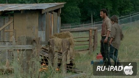   / The Walking Dead [C 4,  2  16]