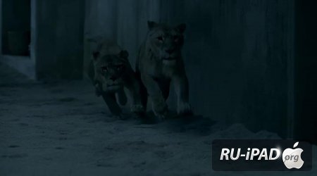  / BBC. Atlantis [C 1,  1  13][2013/HDTVRip/mp4/iPhone/iPod/iPad]