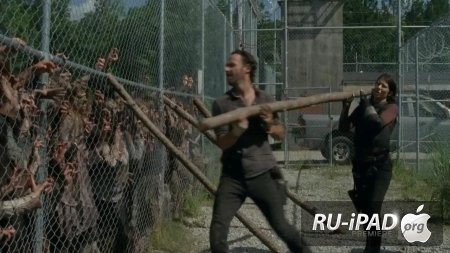   / The Walking Dead [C 4,  5  16]