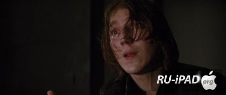   / Looper