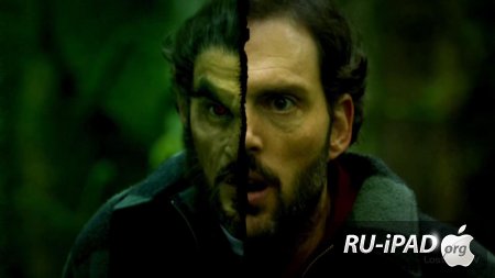  / Grimm [ 3,  2]