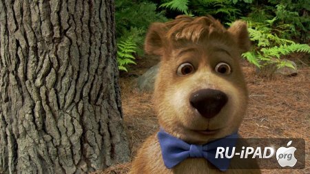   / Yogi Bear