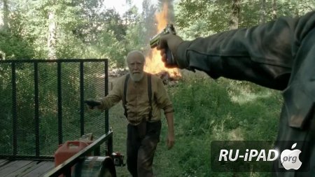   / The Walking Dead [C 4,  8  16]