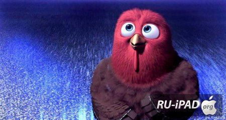 :    / Free Birds