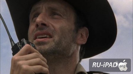   / The Walking Dead [2 , 1   13]