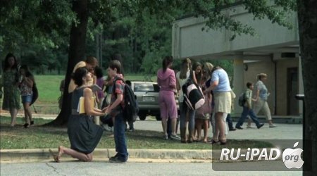   / The Walking Dead [2 , 2   13]