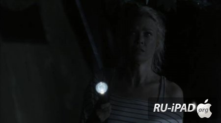   / The Walking Dead [2 , 3   13]