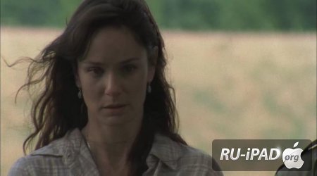   / The Walking Dead [2 , 4   13]