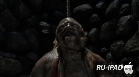   / The Walking Dead [2 , 4   13]