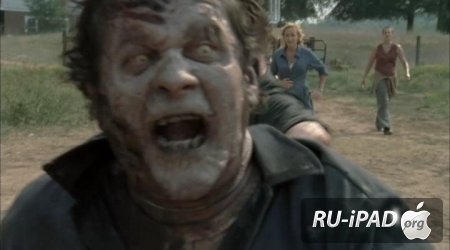   / The Walking Dead [2 , 7   13]