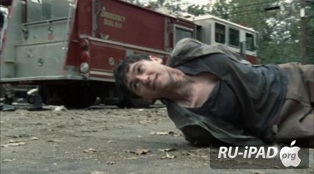   / The Walking Dead [2 , 10   13]
