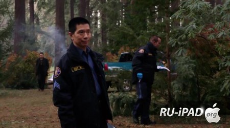  / Grimm [ 3,  13]