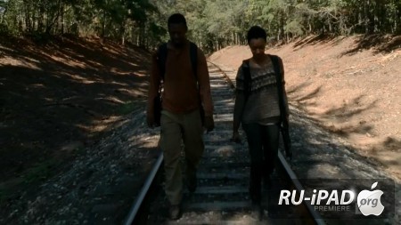   / The Walking Dead [C 4,  13  16]