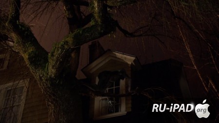  / Grimm [ 3,  14]