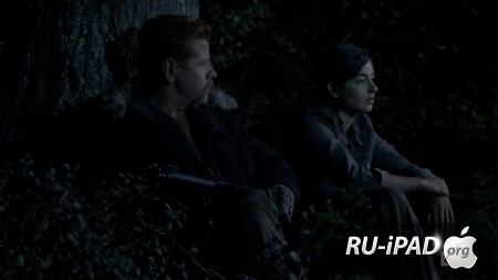   / The Walking Dead [C 4,  15  16]