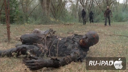   / The Walking Dead [C 4,  14  16]