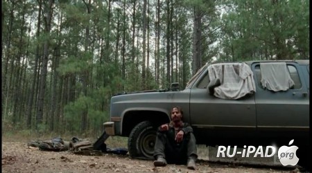   / The Walking Dead [C 4,  16  16]