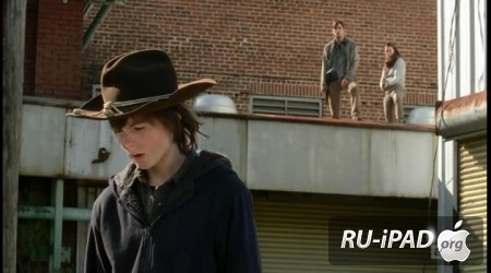   / The Walking Dead [C 4,  16  16]