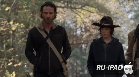   / The Walking Dead [C 4,  16  16]