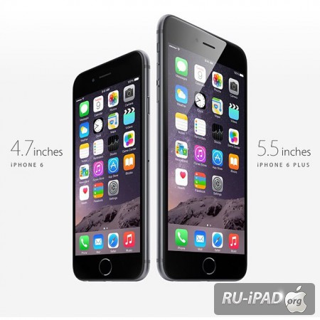 iPhone 6     .