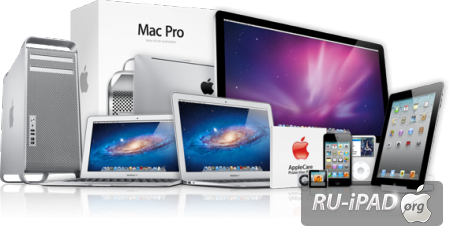    Apple :      