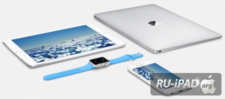    Apple :      